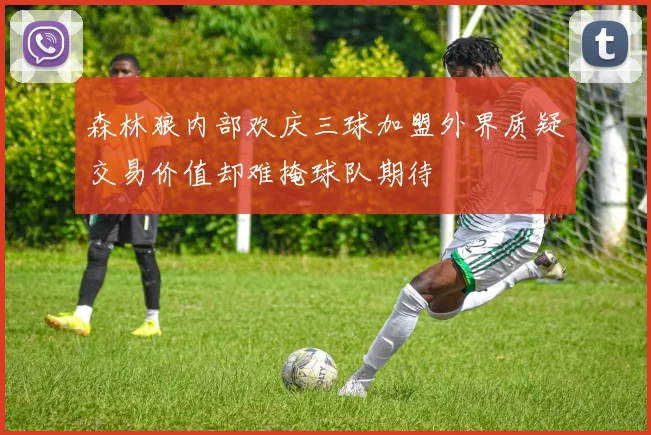 森林狼内部欢庆三球加盟外界质疑交易价值却难掩球队期待
